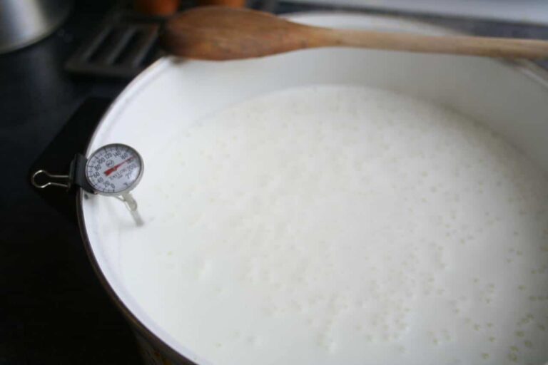 Pasteurisation et stérilisation, notions de valeurs pasteurisatrices et stérilisatrices