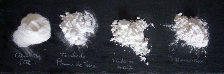 Le grain d’amidon : morphologie et constitution