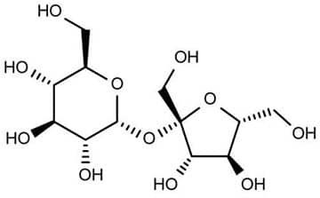 La chimie du sucre : Le saccharose