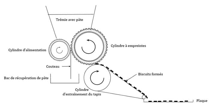 La technologie rotative pour les biscuits
