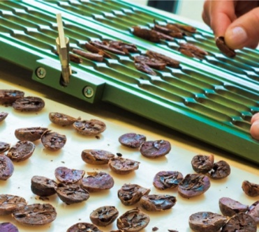 Image AGIR : Partenaire pour l'innovation, la formation et le développement dans le secteur agroalimentaire.