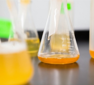 Image AGIR : Partenaire pour l'innovation, la formation et le développement dans le secteur agroalimentaire.
