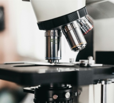 Image AGIR : Partenaire pour l'innovation, la formation et le développement dans le secteur agroalimentaire.