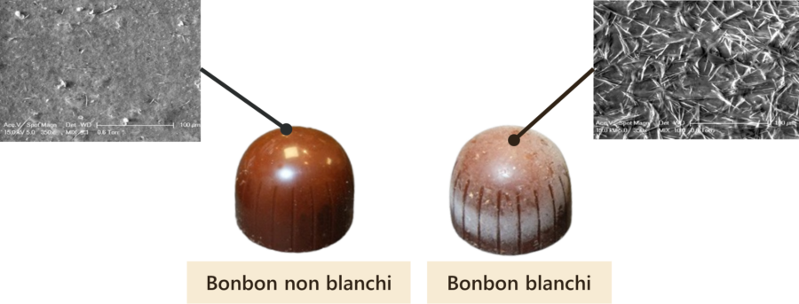 Image AGIR : Partenaire pour l'innovation, la formation et le développement dans le secteur agroalimentaire. blanchiments chocolat