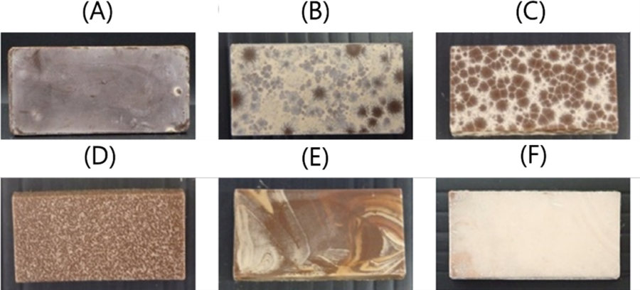 Image AGIR : Partenaire pour l'innovation, la formation et le développement dans le secteur agroalimentaire. blanchiments chocolat