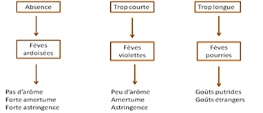 Image AGIR : Partenaire pour l'innovation, la formation et le développement dans le secteur agroalimentaire.