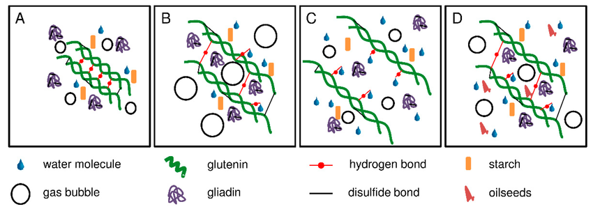 Image AGIR : Partenaire pour l'innovation, la formation et le développement dans le secteur agroalimentaire.
