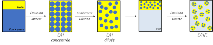 Image AGIR : Partenaire pour l'innovation, la formation et le développement dans le secteur agroalimentaire.