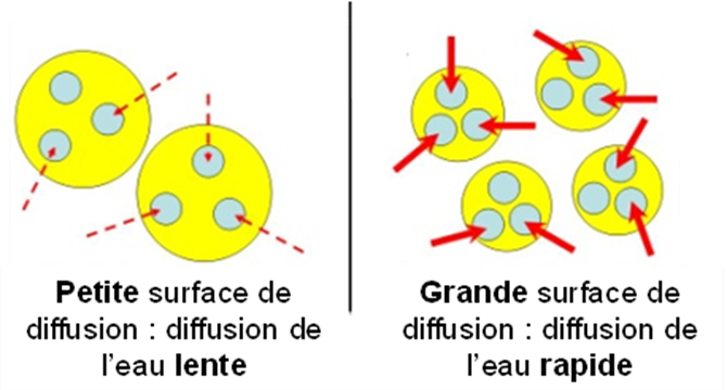 Image AGIR : Partenaire pour l'innovation, la formation et le développement dans le secteur agroalimentaire.