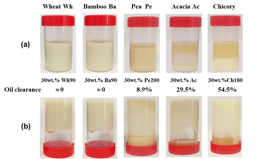 Image AGIR : Partenaire pour l'innovation, la formation et le développement dans le secteur agroalimentaire.