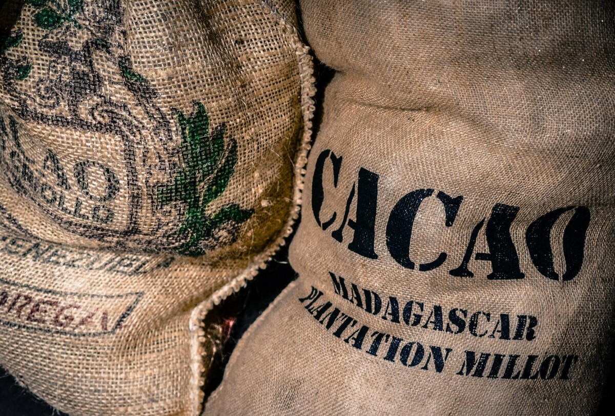 Formation Chocolat Bean-To-Bar
