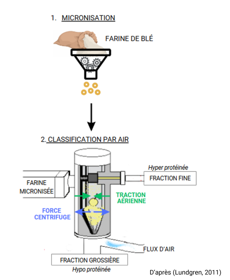 Image AGIR : Partenaire pour l'innovation, la formation et le développement dans le secteur agroalimentaire.